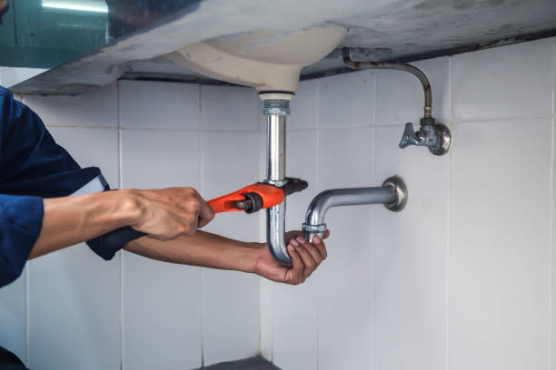 Best Local Plumber Services  in Lanark, IL