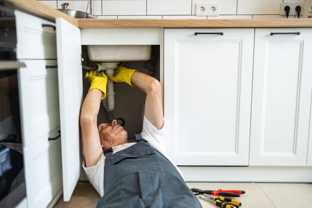  Lanark, IL Plumbing Pros