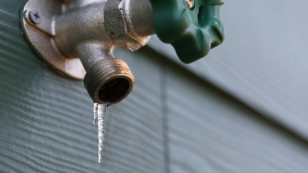 Best Water Leak Repair  in Lanark, IL