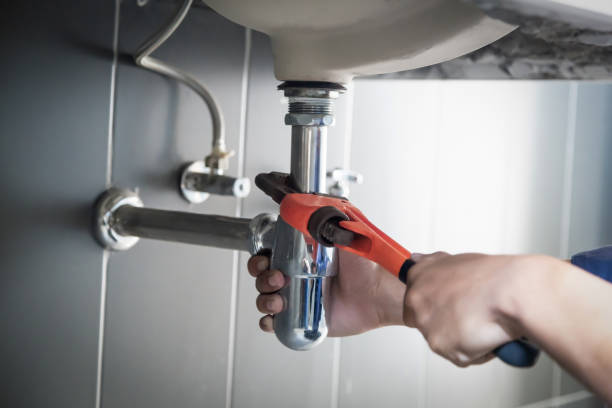 Best Clogged Drain Plumber  in Lanark, IL