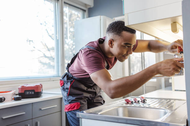Best Plumbing Repair Near Me  in Lanark, IL